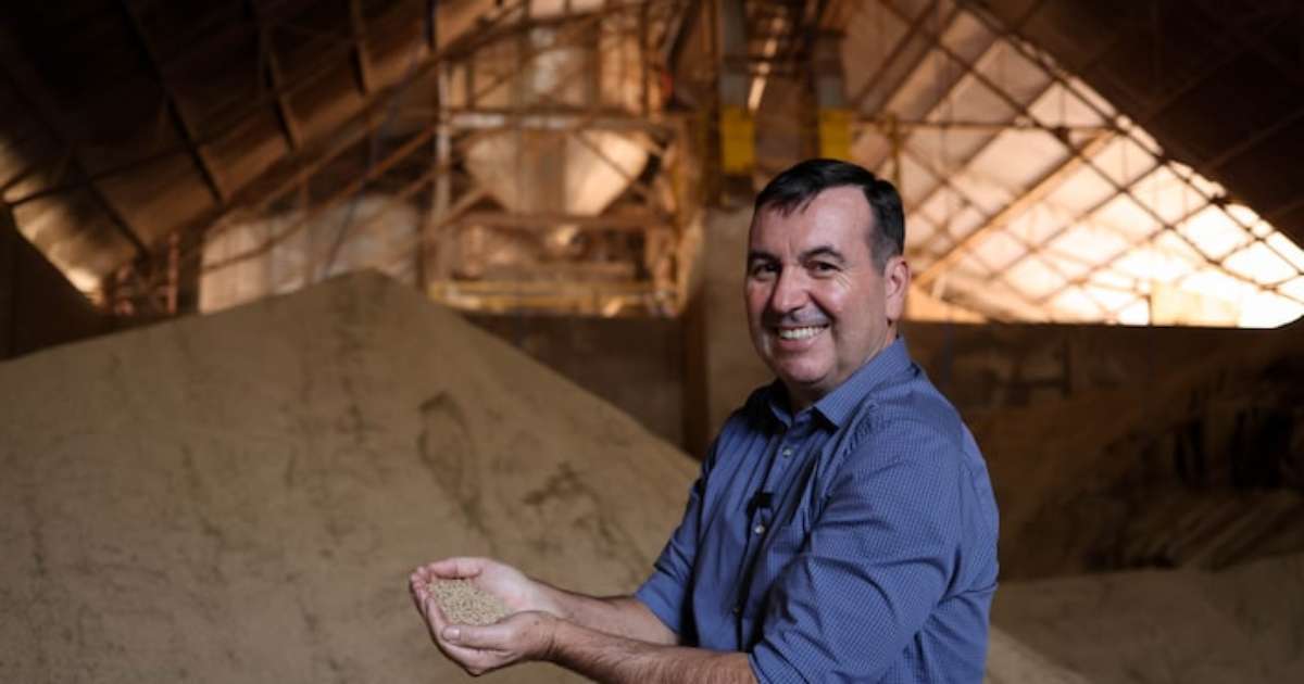 Poder do Campo: A ciência por trás da supersafra brasileira, do laboratório à lavoura